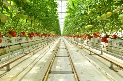 Alarko Tarım - Lojistik Çözüm Ortağı